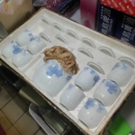 �i�J����